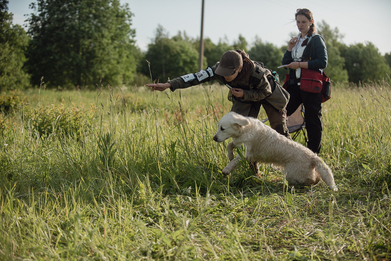 Несертификатный воркинг тест Школы Шмеля, 10 июня 2023. Фотограф-анималист Наталья Светличная