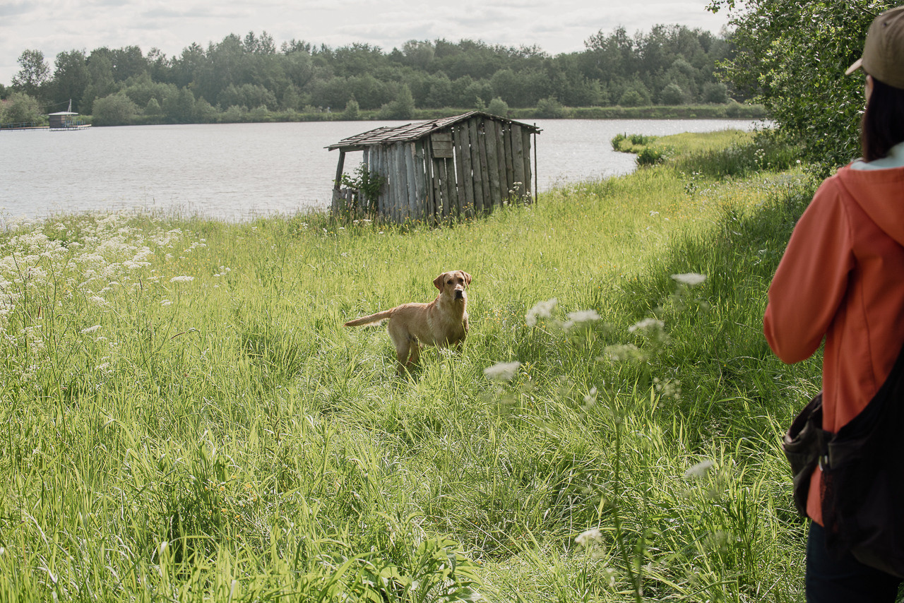 Испытания МОО «Школа Шмеля» 11 июня 2023. Фотограф-анималист Наталья Светличная