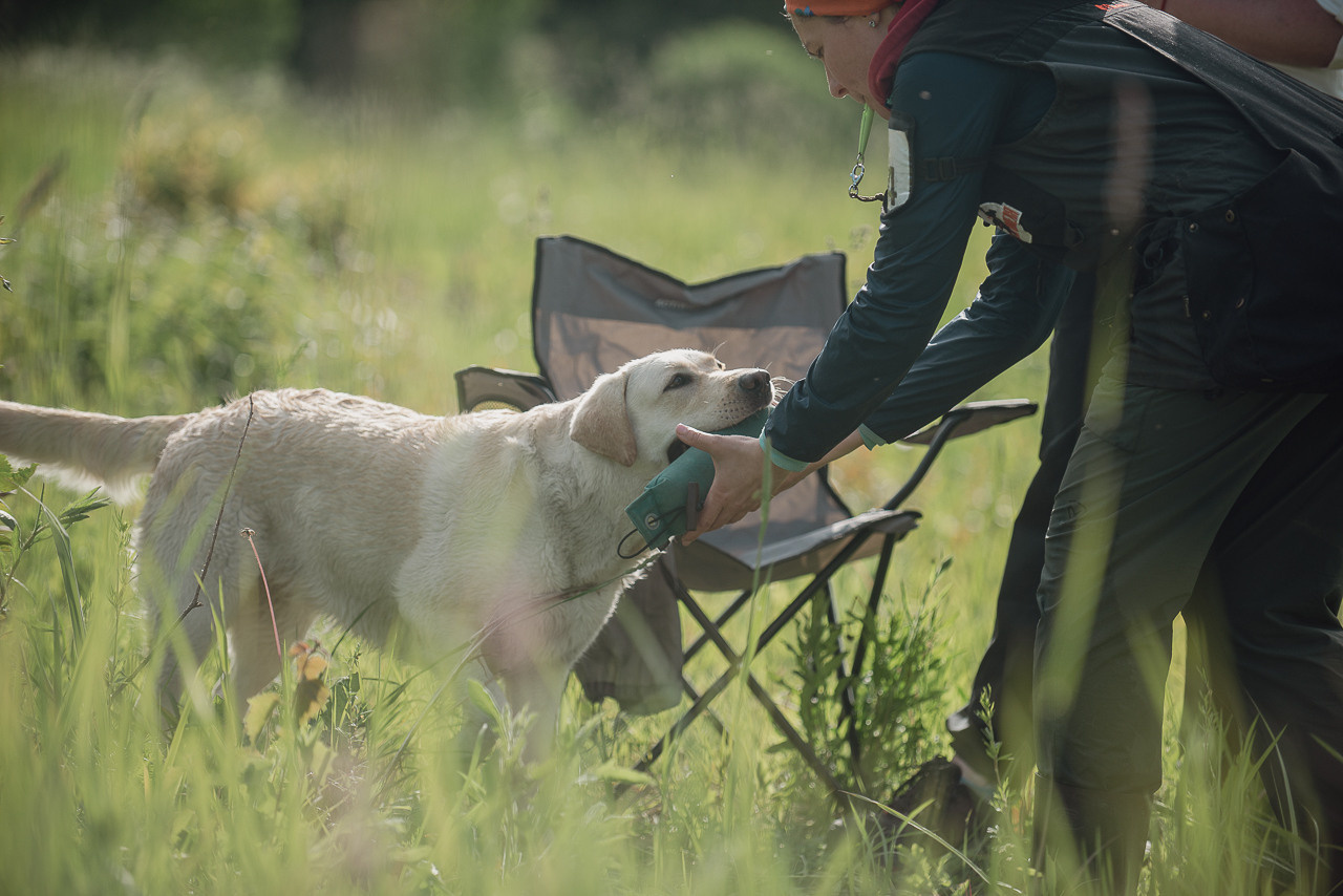Несертификатный воркинг тест Школы Шмеля, 10 июня 2023. Фотограф-анималист Наталья Светличная