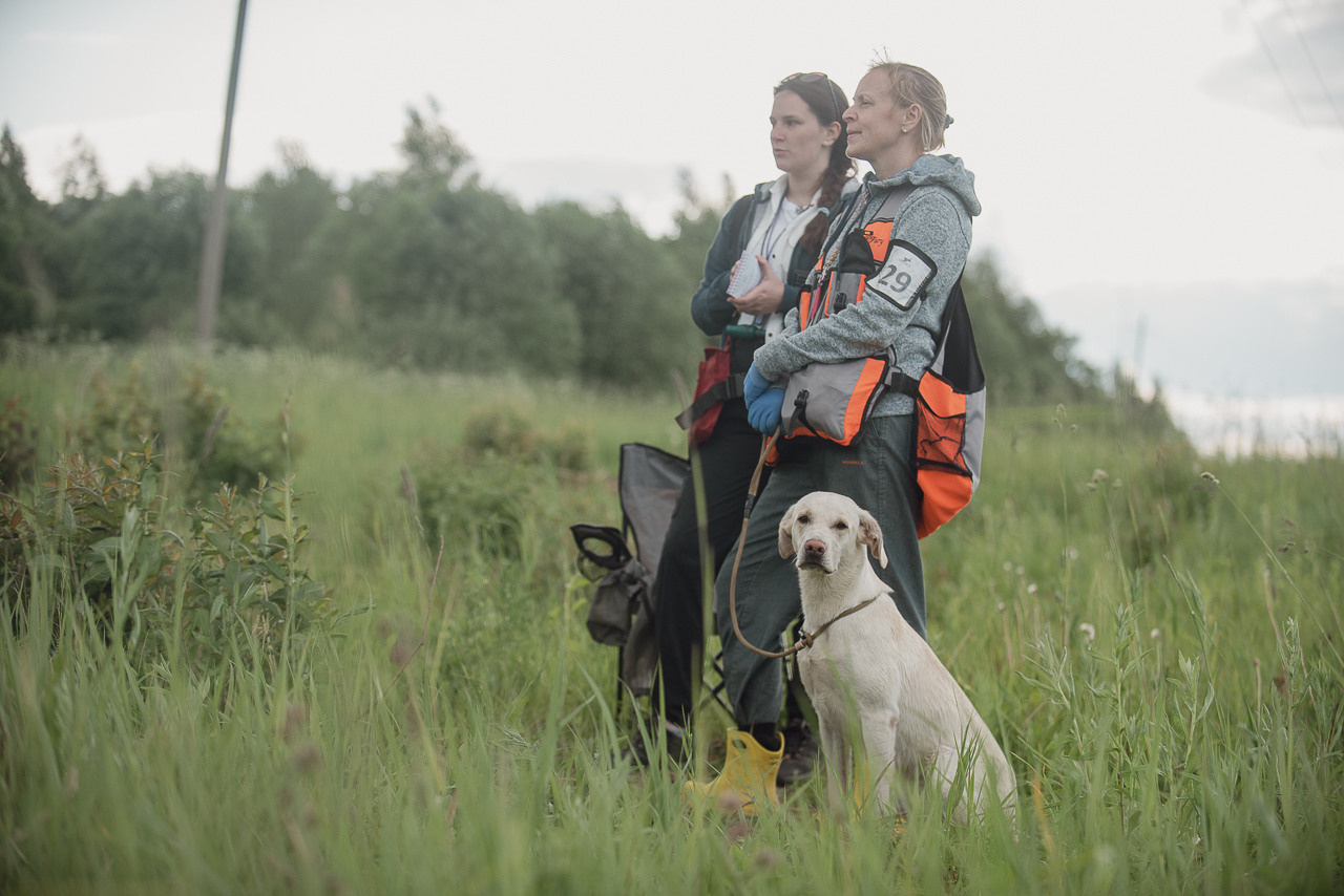 Несертификатный воркинг тест Школы Шмеля, 10 июня 2023. Фотограф-анималист Наталья Светличная