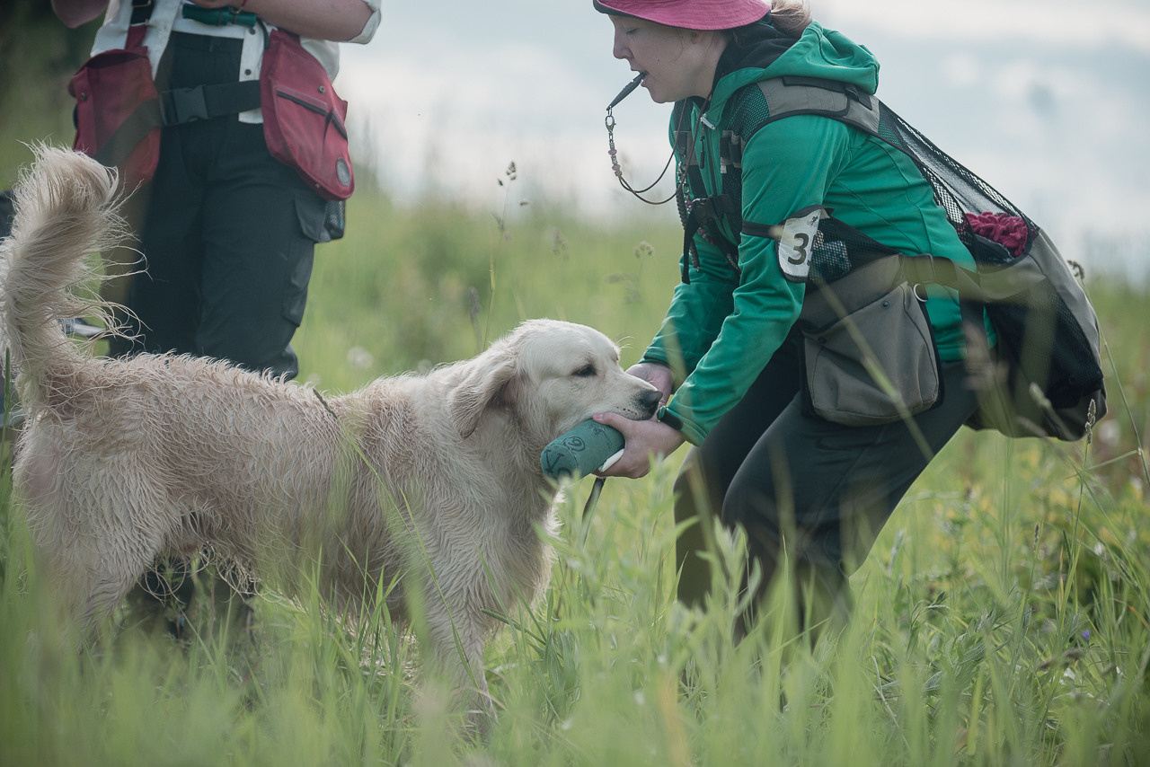 Несертификатный воркинг тест Школы Шмеля, 10 июня 2023. Фотограф-анималист Наталья Светличная