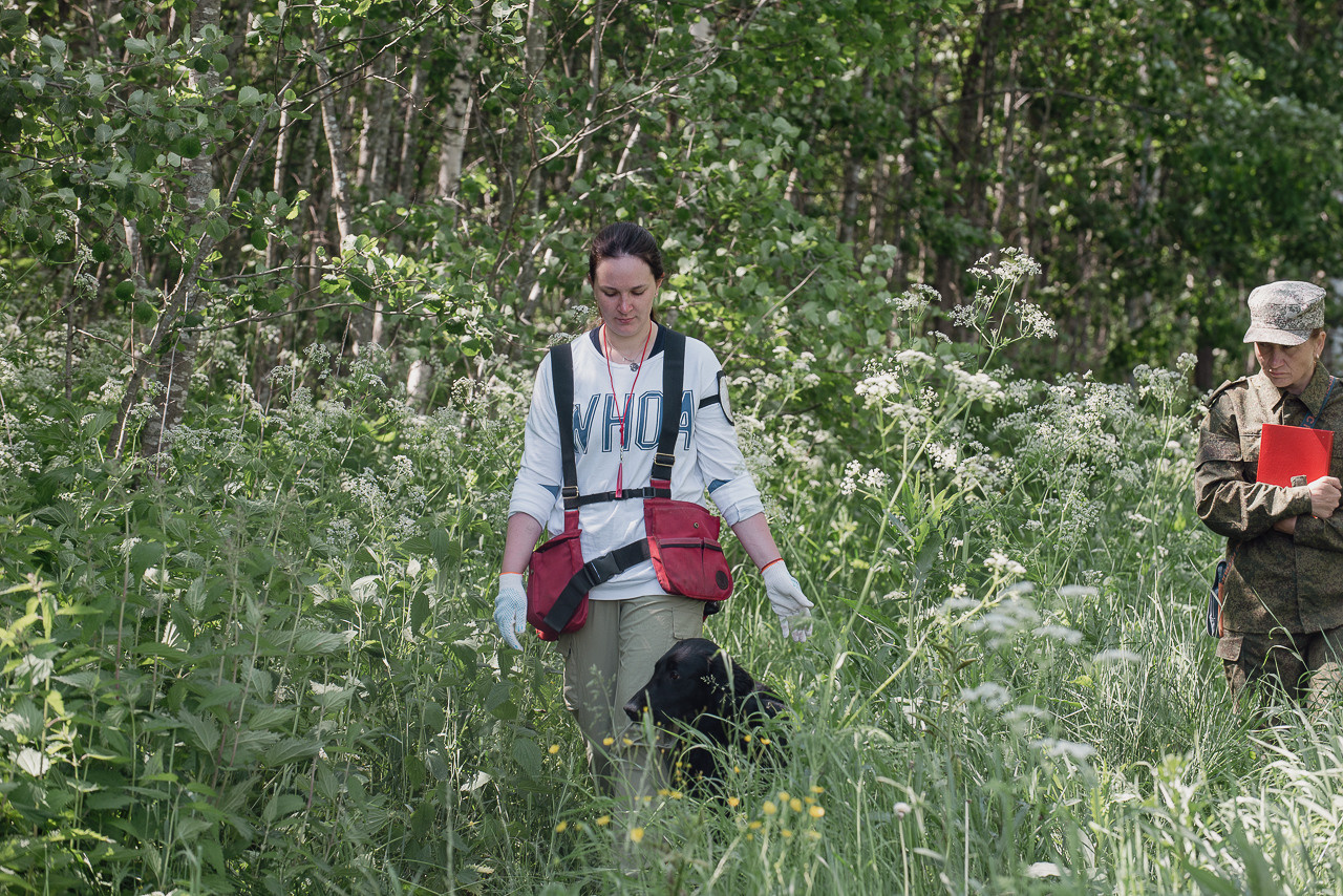 Испытания МОО «Школа Шмеля» 11 июня 2023. Фотограф-анималист Наталья Светличная