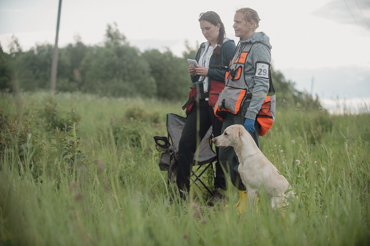 Несертификатный воркинг тест Школы Шмеля, 10 июня 2023. Фотограф-анималист Наталья Светличная