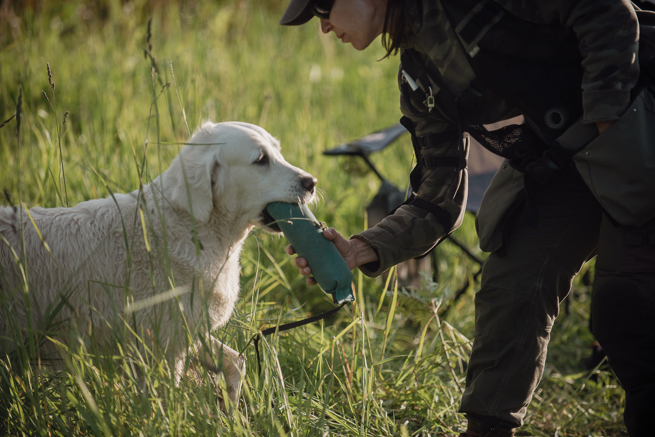Несертификатный воркинг тест Школы Шмеля, 10 июня 2023. Фотограф-анималист Наталья Светличная