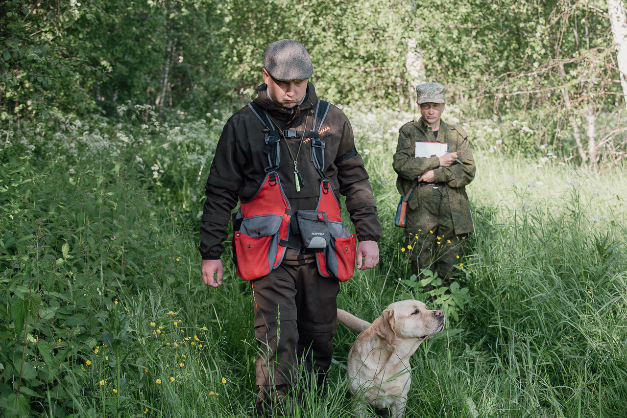 Испытания МОО «Школа Шмеля» 11 июня 2023. Фотограф-анималист Наталья Светличная