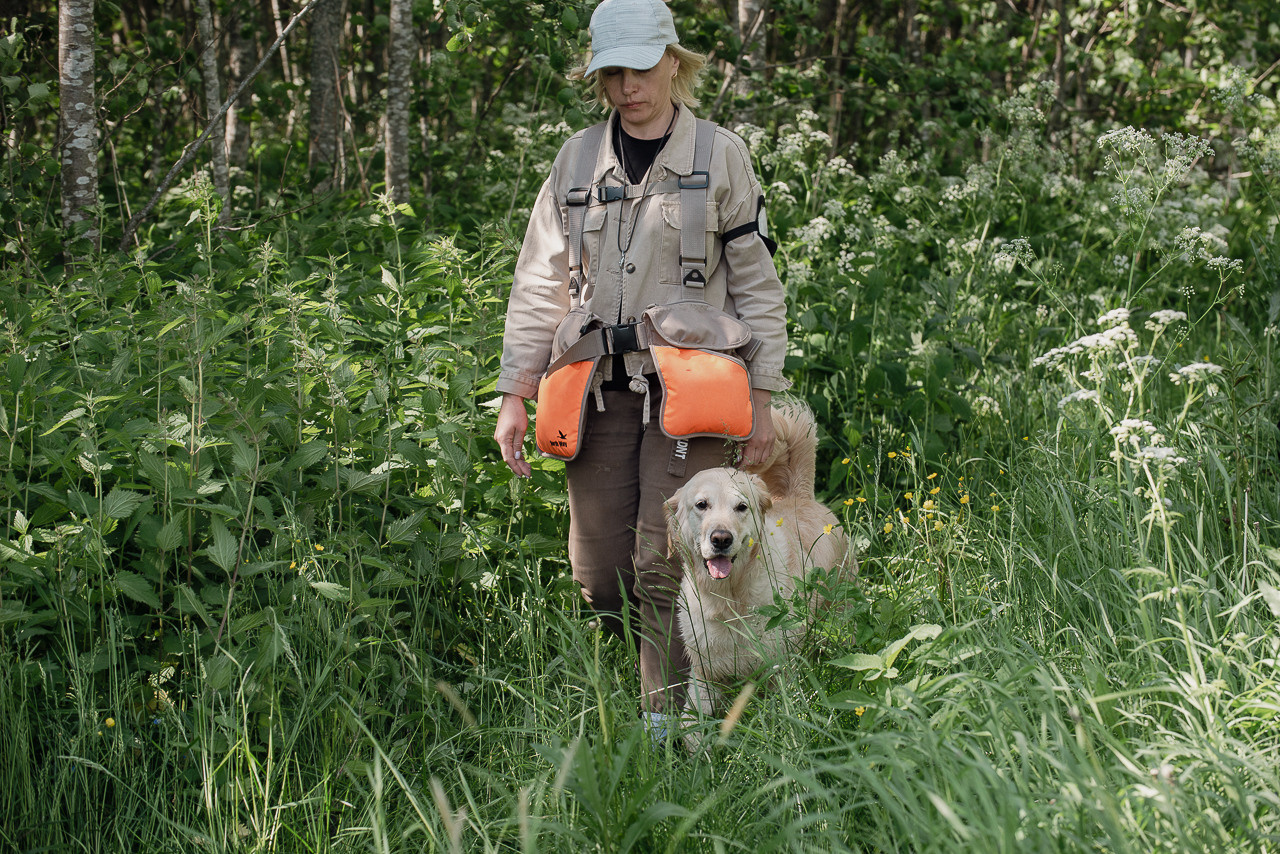Испытания МОО «Школа Шмеля» 11 июня 2023. Фотограф-анималист Наталья Светличная