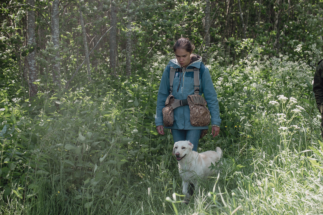 Испытания МОО «Школа Шмеля» 11 июня 2023. Фотограф-анималист Наталья Светличная