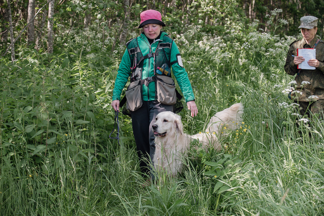 Испытания МОО «Школа Шмеля» 11 июня 2023. Фотограф-анималист Наталья Светличная