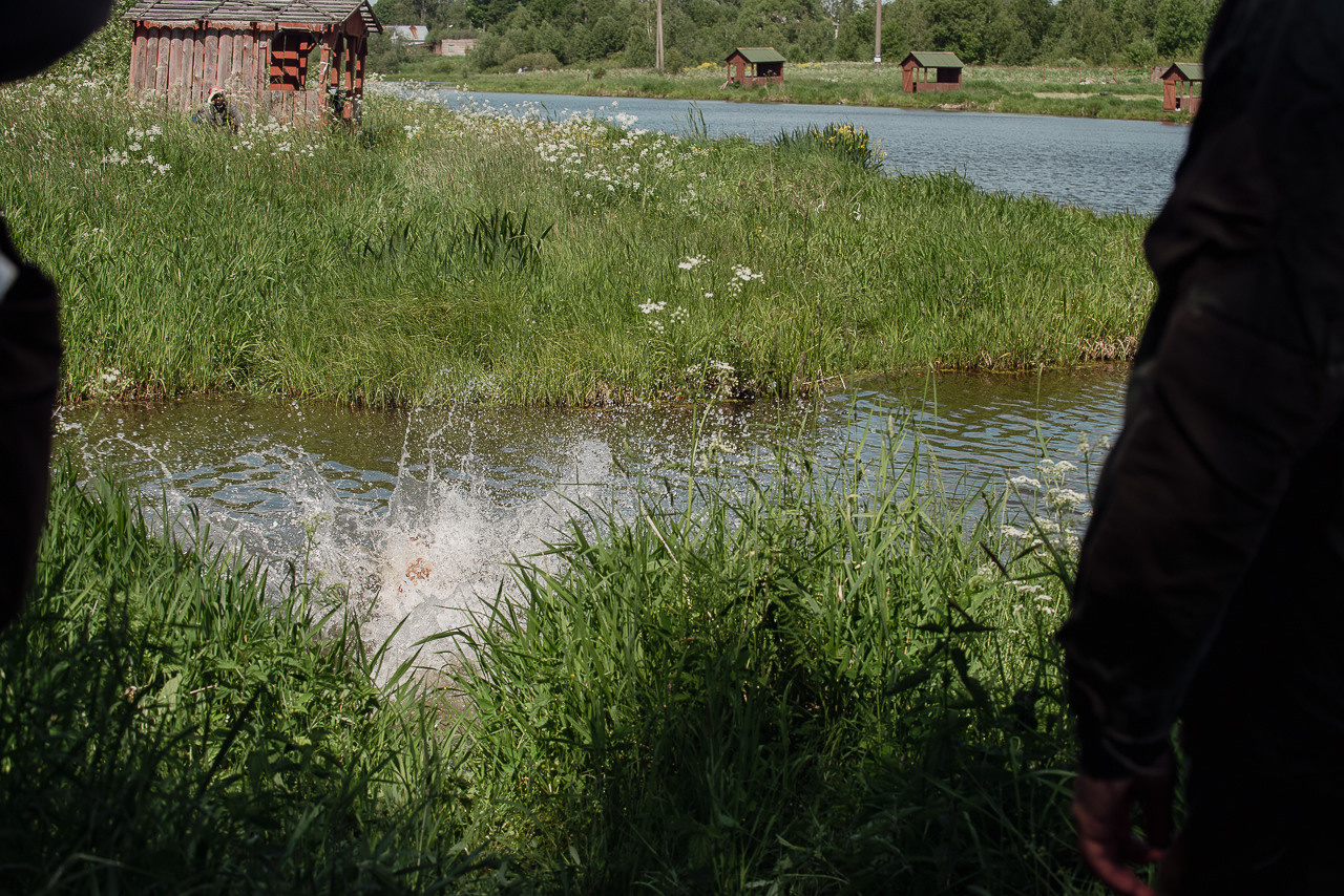 Испытания МОО «Школа Шмеля» 11 июня 2023. Фотограф-анималист Наталья Светличная