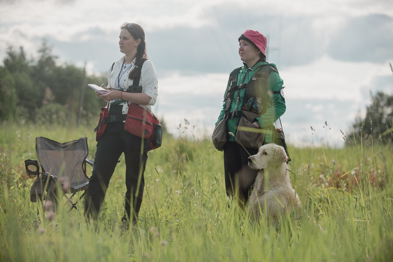 Несертификатный воркинг тест Школы Шмеля, 10 июня 2023. Фотограф-анималист Наталья Светличная