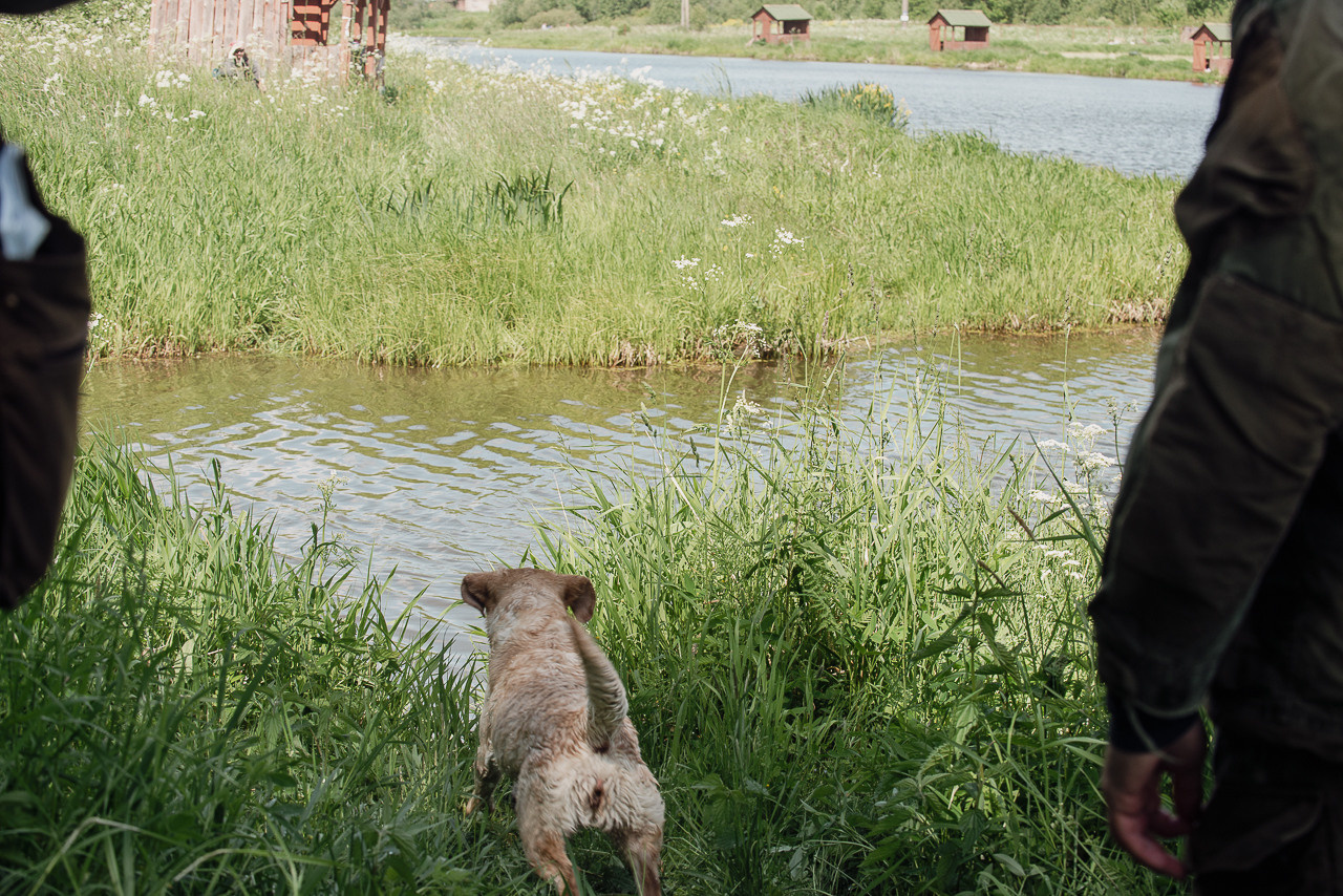 Испытания МОО «Школа Шмеля» 11 июня 2023. Фотограф-анималист Наталья Светличная