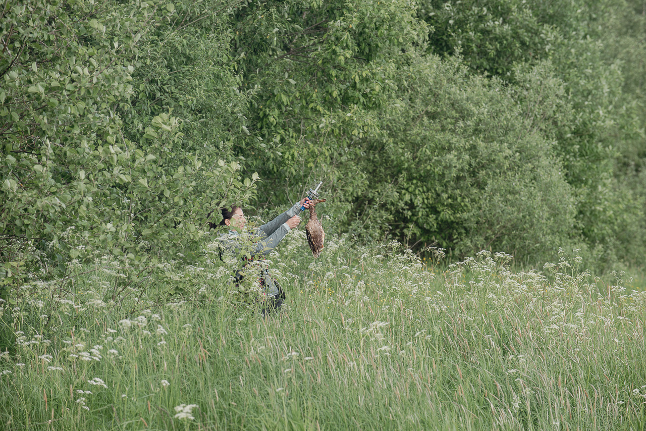 Испытания МОО «Школа Шмеля» 11 июня 2023. Фотограф-анималист Наталья Светличная