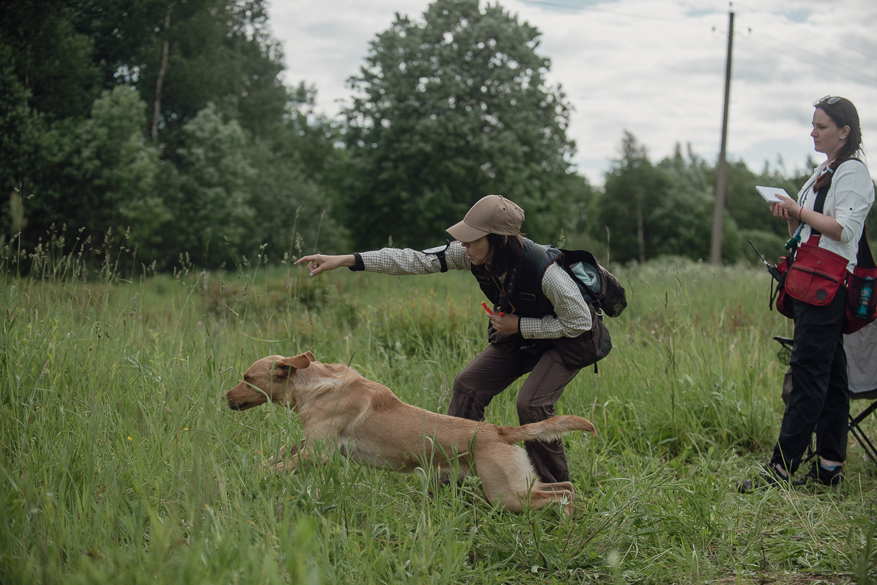 Несертификатный воркинг тест Школы Шмеля, 10 июня 2023. Фотограф-анималист Наталья Светличная