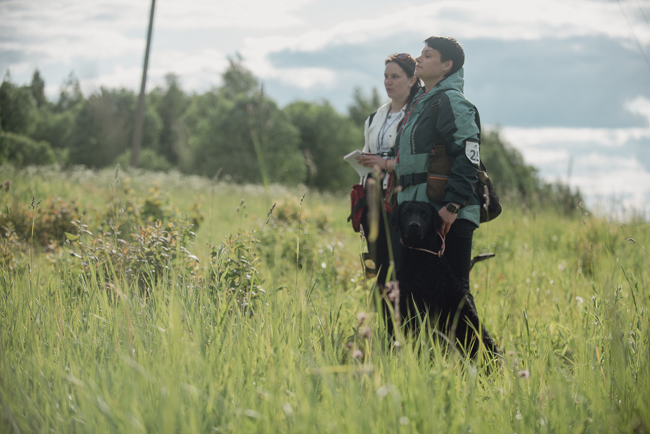 Несертификатный воркинг тест Школы Шмеля, 10 июня 2023. Фотограф-анималист Наталья Светличная