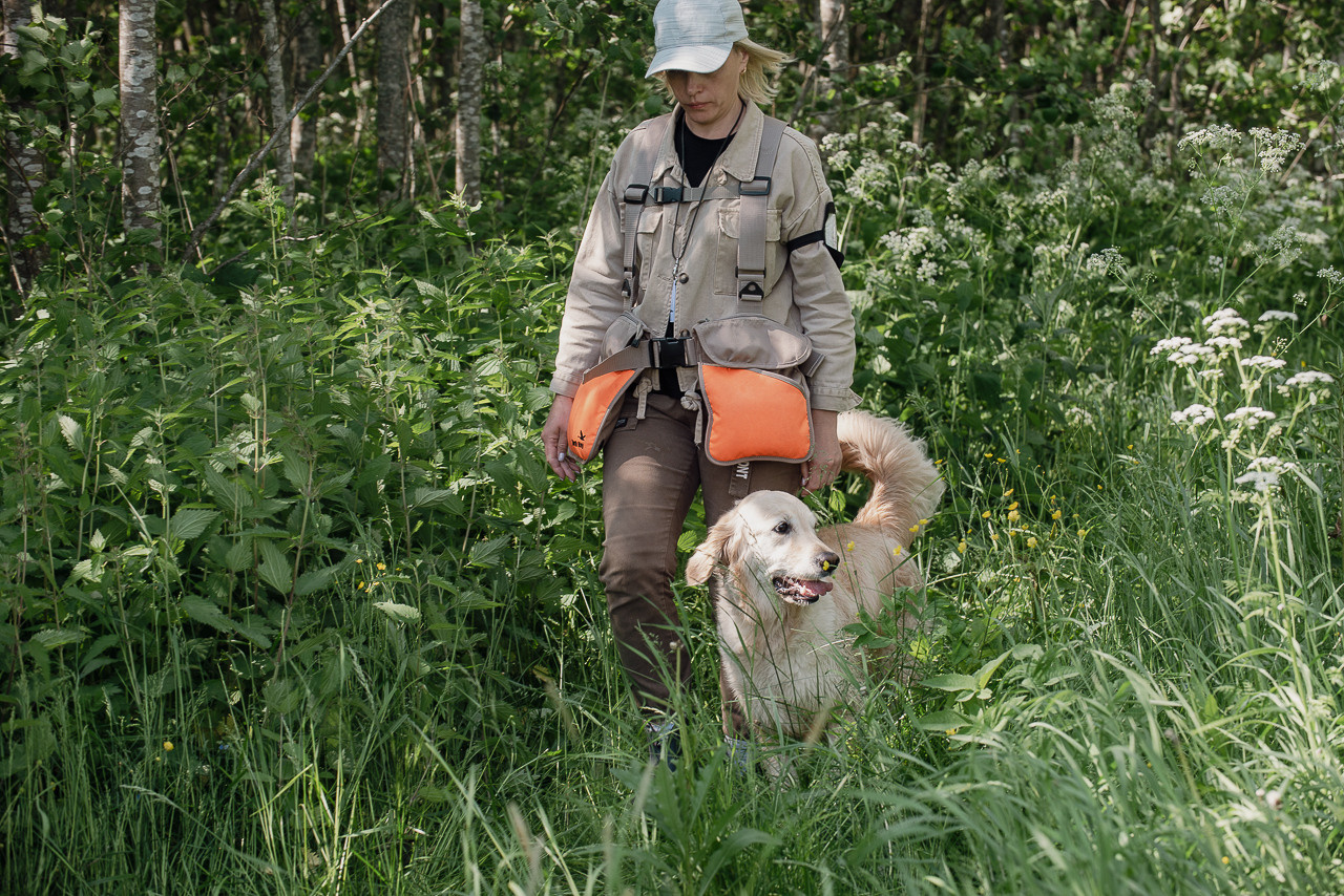 Испытания МОО «Школа Шмеля» 11 июня 2023. Фотограф-анималист Наталья Светличная