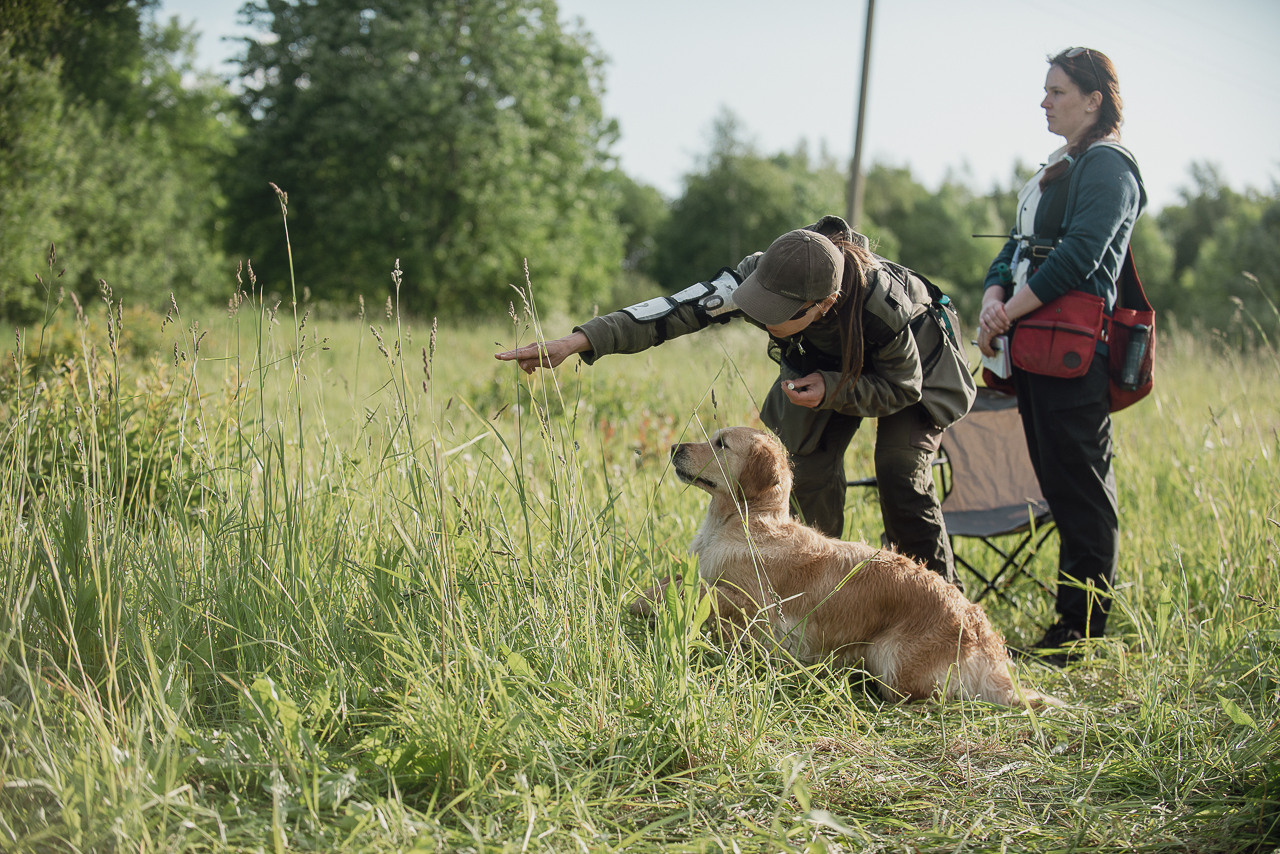 Несертификатный воркинг тест Школы Шмеля, 10 июня 2023. Фотограф-анималист Наталья Светличная