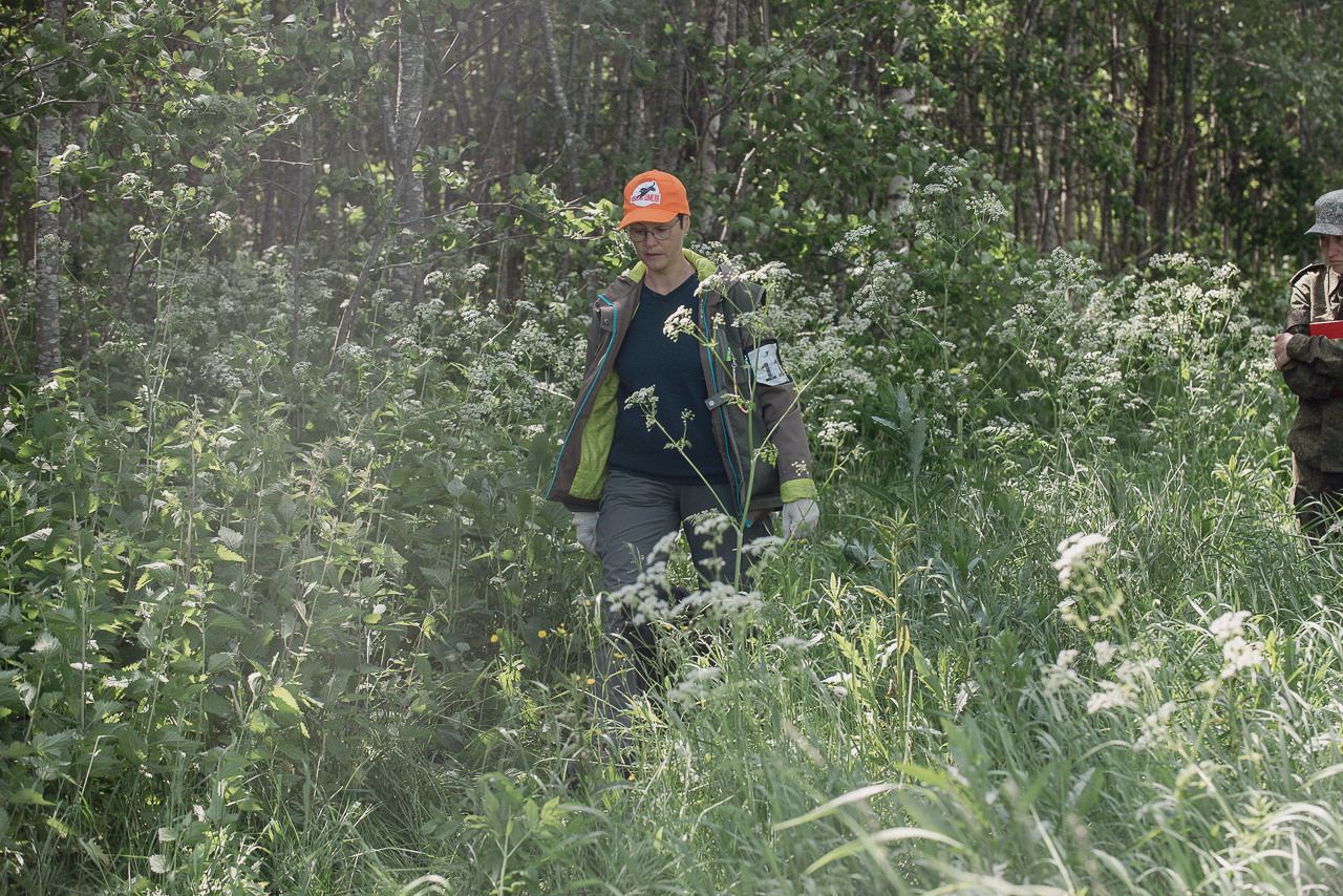 Испытания МОО «Школа Шмеля» 11 июня 2023. Фотограф-анималист Наталья Светличная