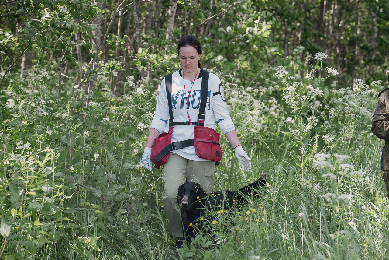 Испытания МОО «Школа Шмеля» 11 июня 2023. Фотограф-анималист Наталья Светличная