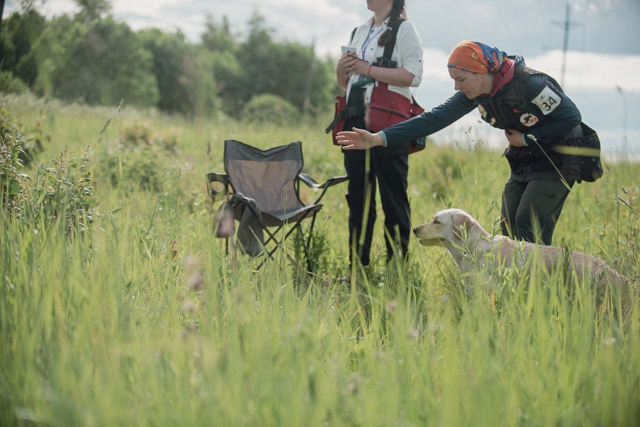 Несертификатный воркинг тест Школы Шмеля, 10 июня 2023. Фотограф-анималист Наталья Светличная