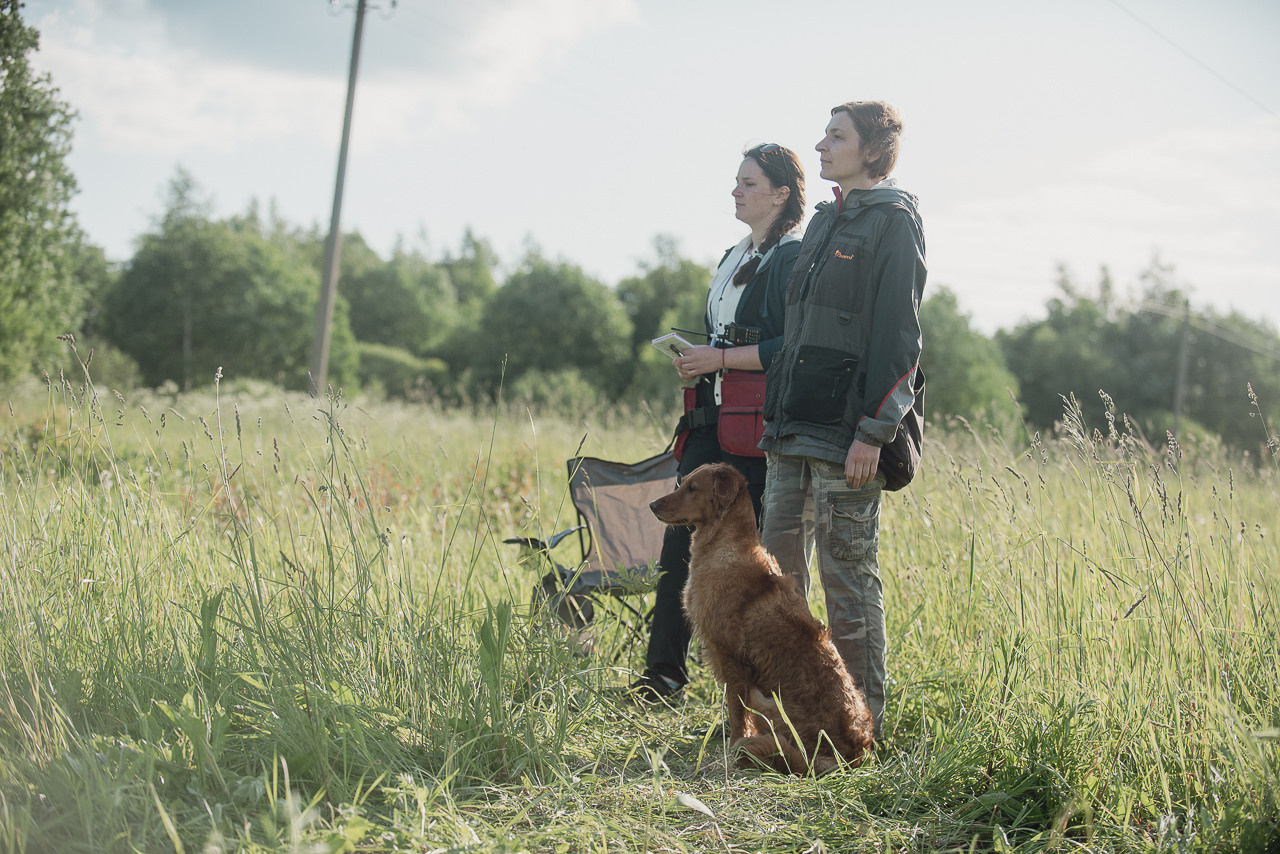 Несертификатный воркинг тест Школы Шмеля, 10 июня 2023. Фотограф-анималист Наталья Светличная