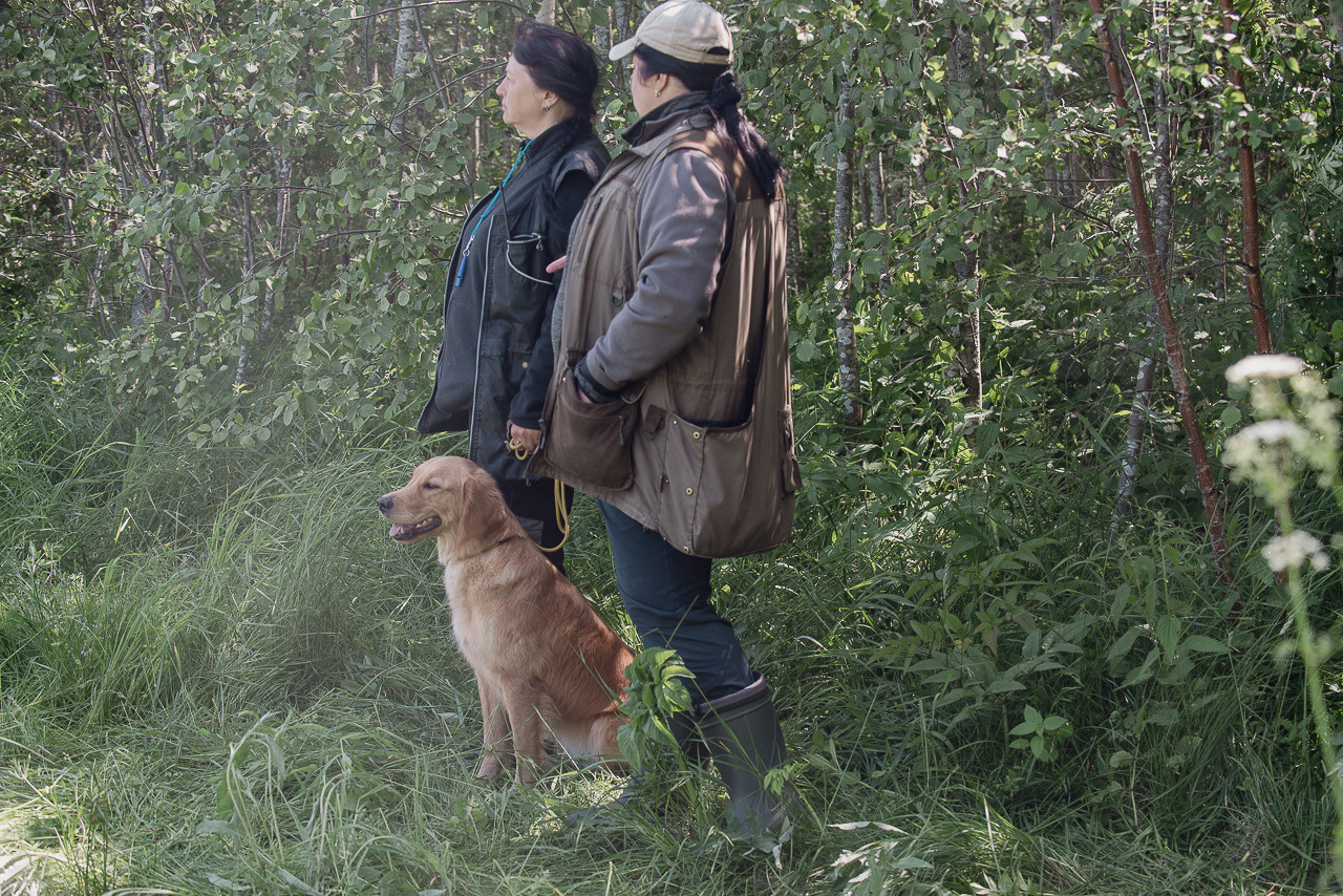 Испытания МОО «Школа Шмеля» 11 июня 2023. Фотограф-анималист Наталья Светличная