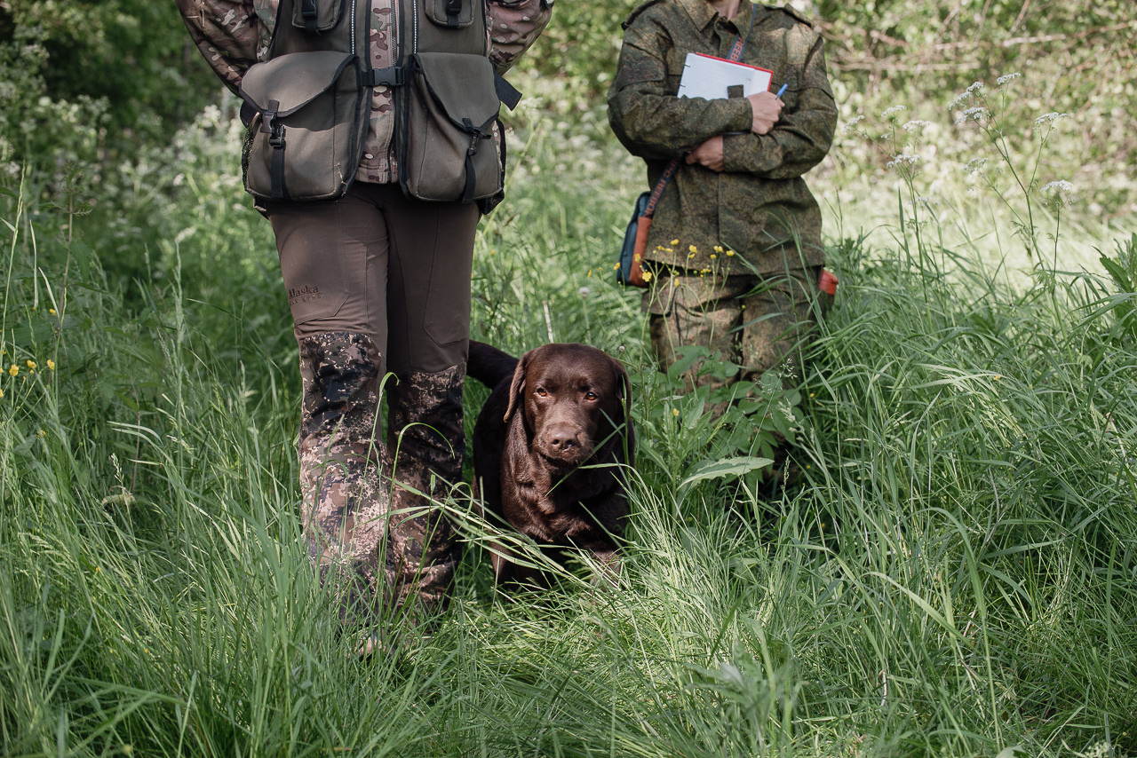 Испытания МОО «Школа Шмеля» 11 июня 2023. Фотограф-анималист Наталья Светличная