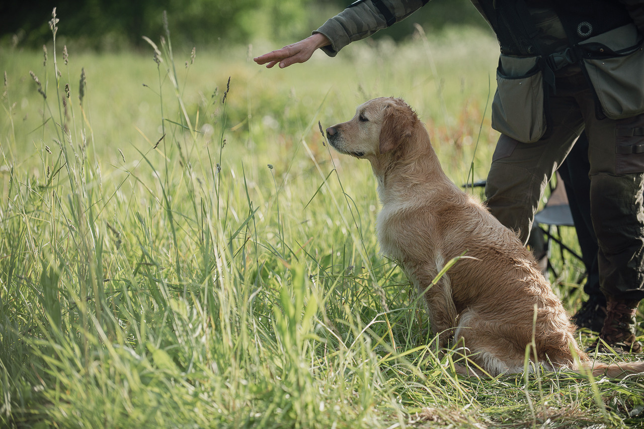 Несертификатный воркинг тест Школы Шмеля, 10 июня 2023. Фотограф-анималист Наталья Светличная