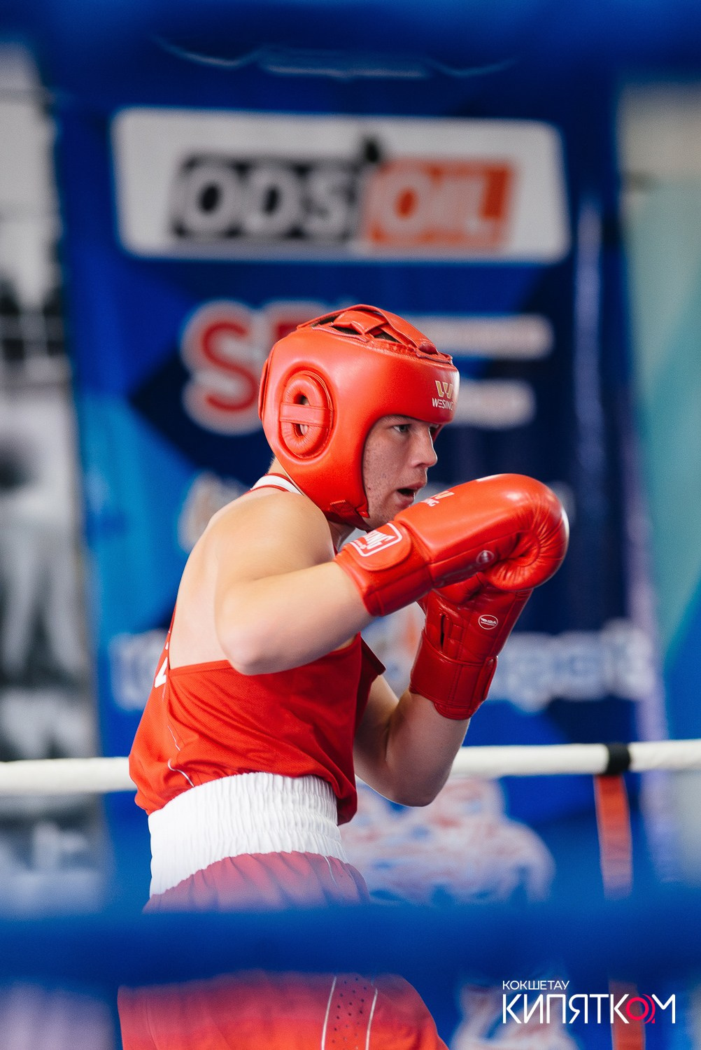 Турнир по боксу. КИПЯТКОМ КОКШЕТАУ