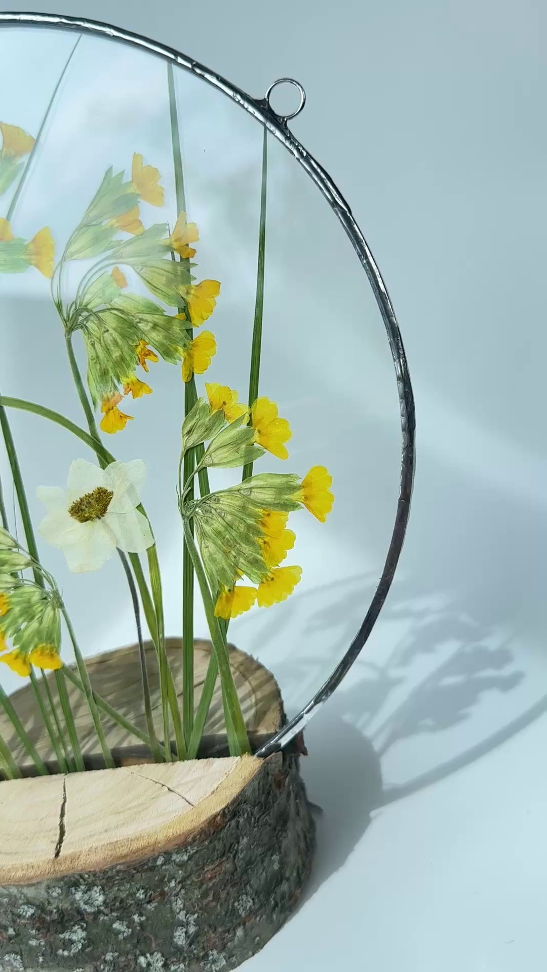 Сухоцветы под стеклом (витраж гербарий техника тиффани). Гербарий в стекле, интерьерные панно, витражи с сухоцветами в технике тиффани