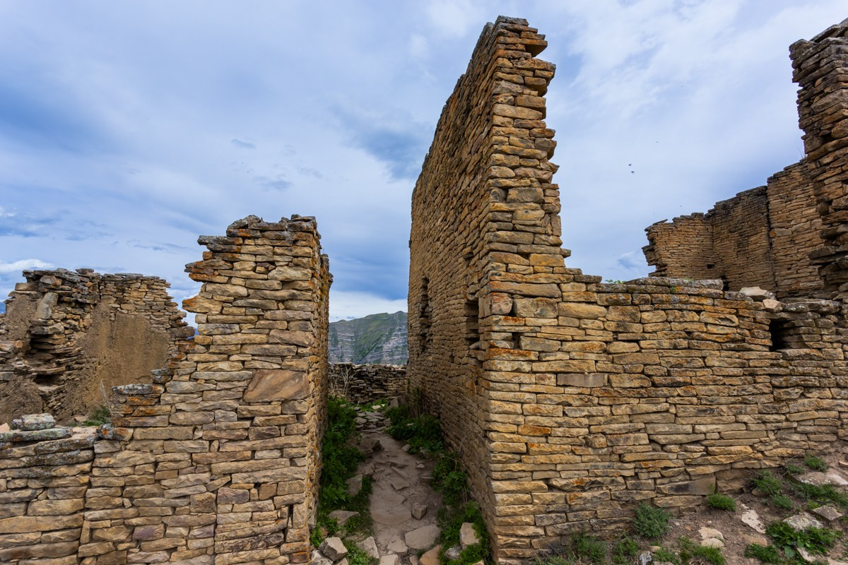 Язык Тролля. Photomantis