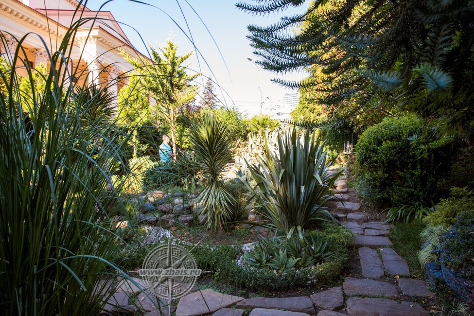 КРАСИВЫЕ МЕСТА В СОЧИ. Свадебный и семейный фотограф/видеограф в Краснодаре Наталья Осинская