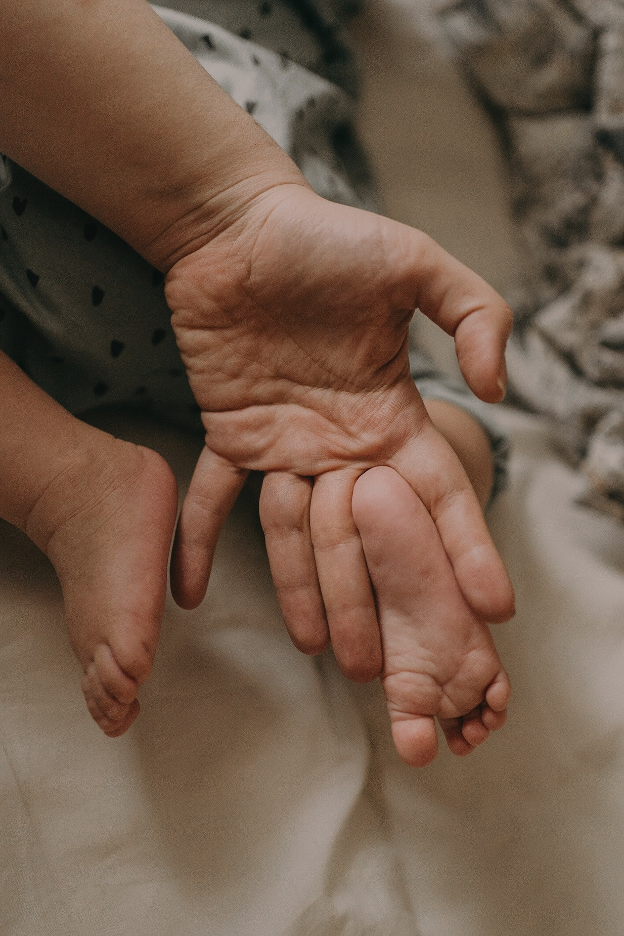 Домашние истории. Семейный фотограф в Москве Кристина Кручинина