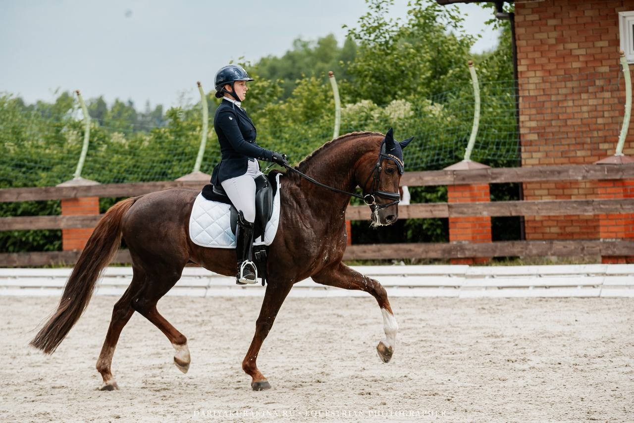 СОРЕВНОВАНИЯ ПО ВЫЕЗДКЕ, КОНИШКОЛА «ОЛИМПИЯ». Куракина Дарья • Конный фотограф