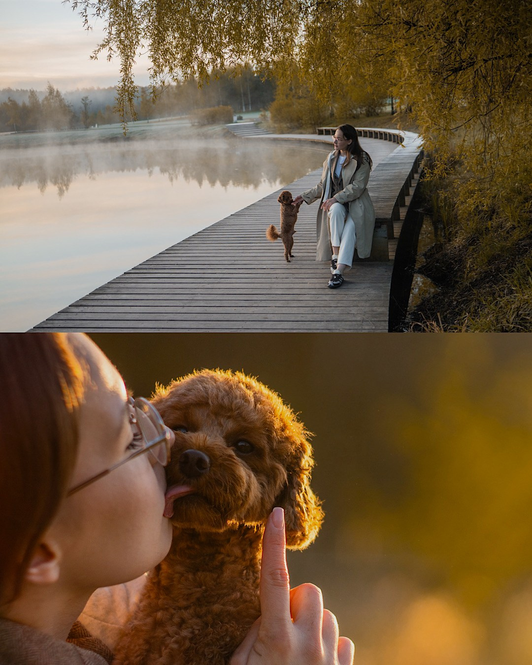 Лия и Чарли. Фотограф анималист в Москве и Санкт-Петербурге Свиридова Анна