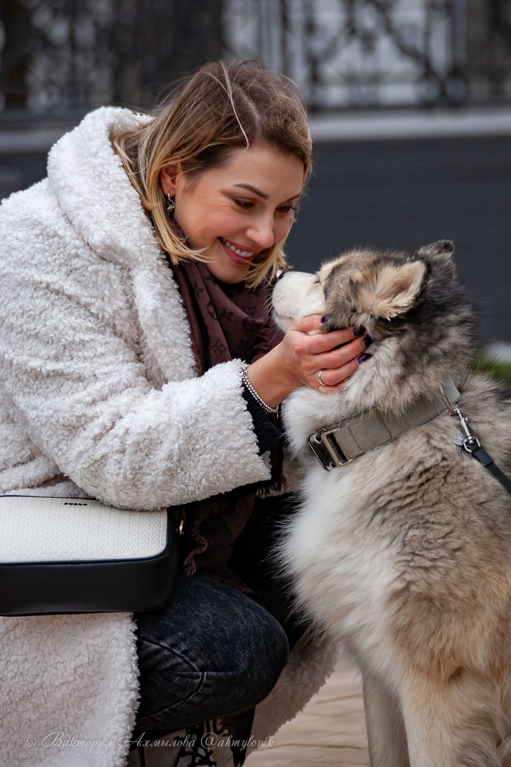 Прогулка с Хаски (Настя). Виктория Ахмылова. Фотограф в Москве