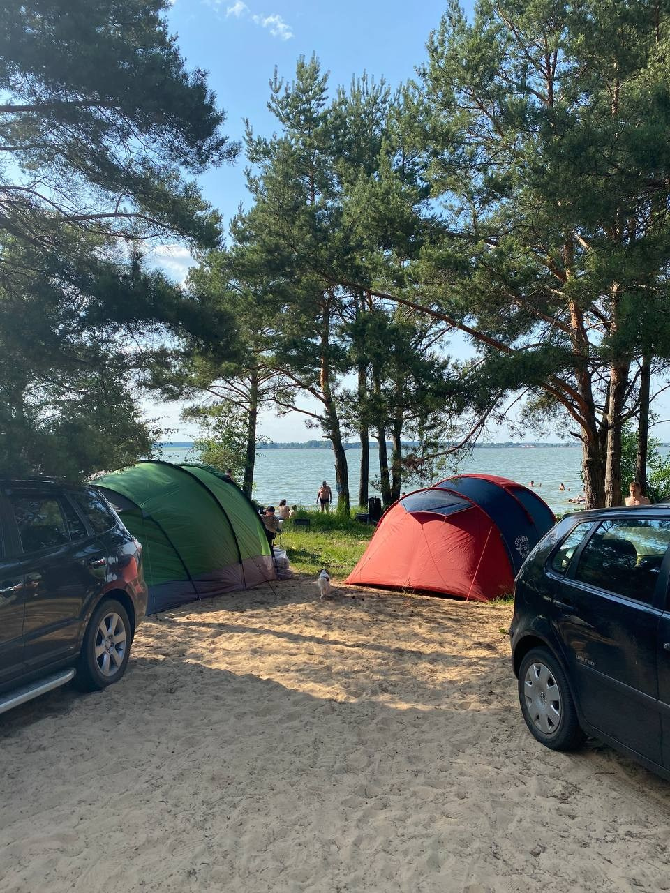 Территория. Добро пожаловать в Кемпинг — уникальное место для отдыха на лоне природы!