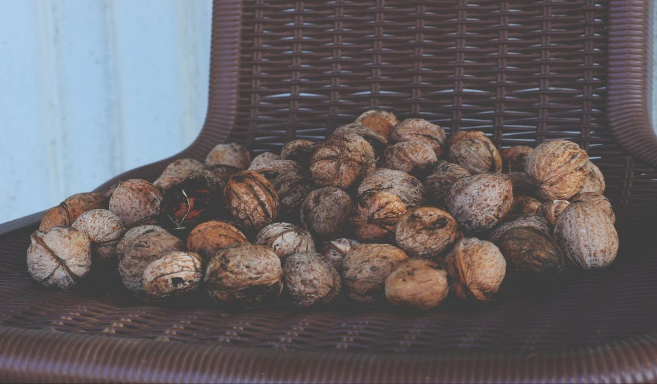 Проект «366»|2024|Фото каждый день. LENA GRACE photographer ||ЛЕНА ГРЭЙС фотограф