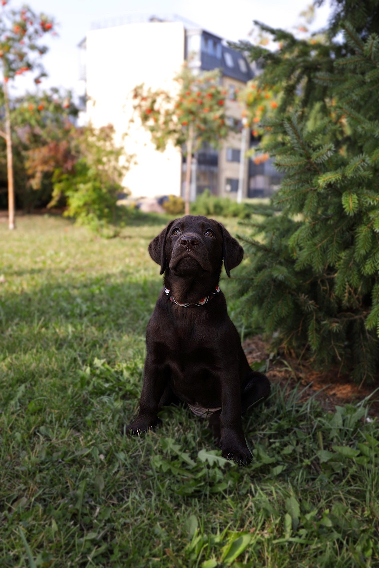 Животные. Семейный и детский фотограф в Санкт-Петербурге, Анастасия Воротова
