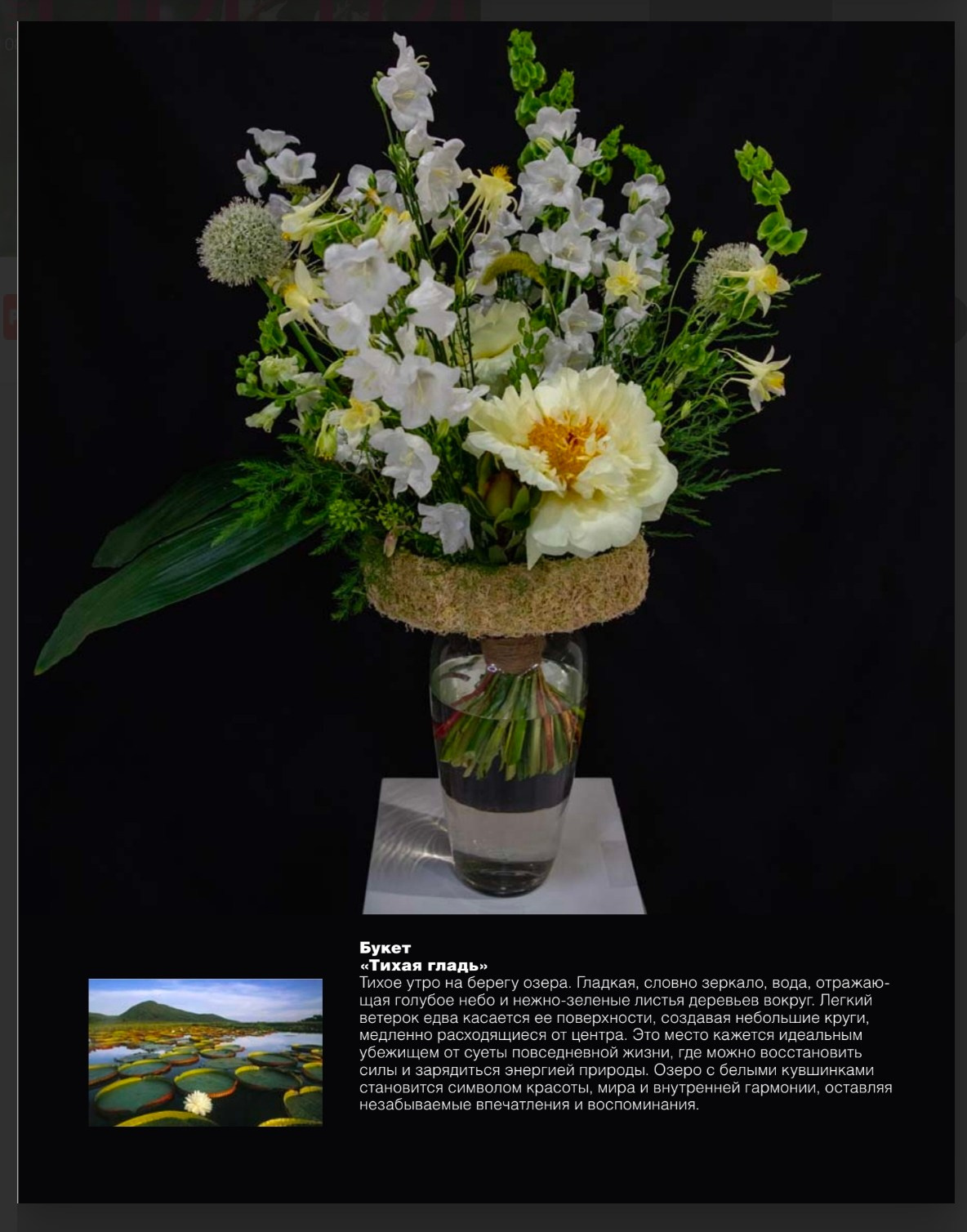 Российские журналы. Портретный фотограф в Краснодаре Надежда Елынко