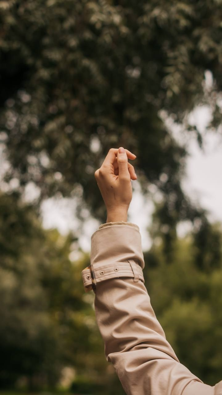 Прогулка по осеннему Петербургу