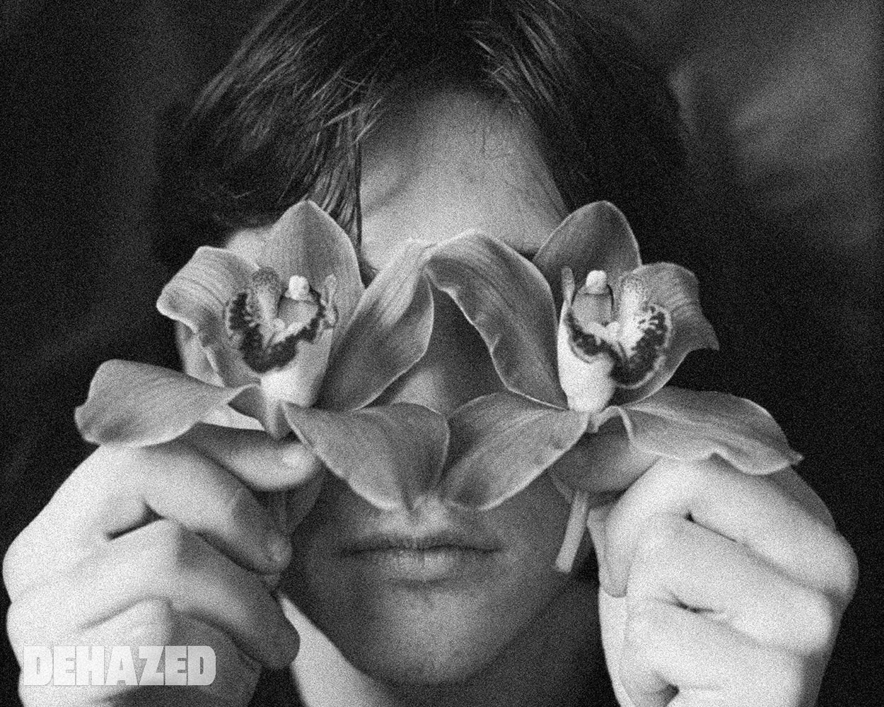 DEHAZED. Фотографии Лены Соколовой