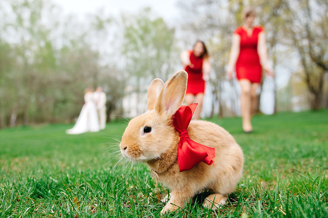 Свадебное портфолио. Dmitry Gagarin Photographer