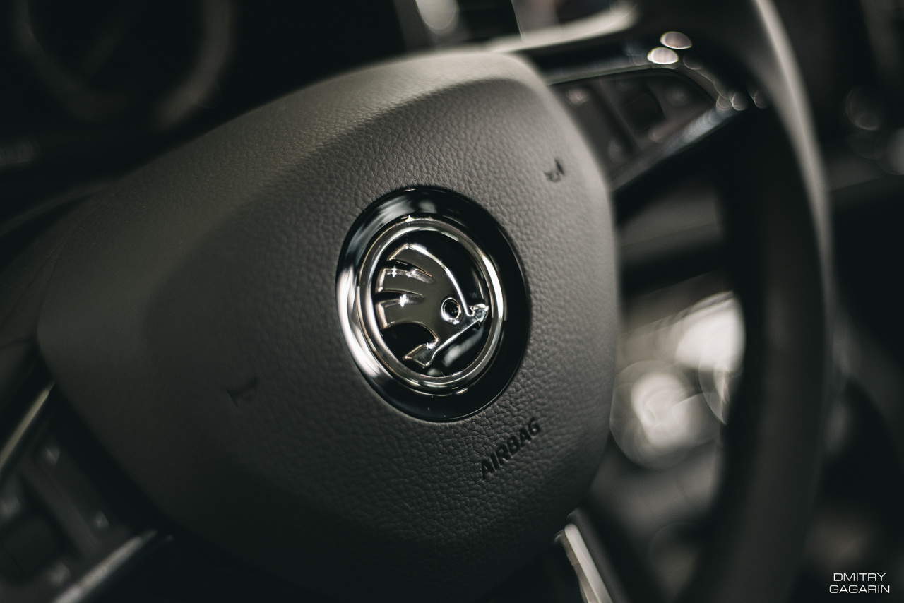 Skoda Смоленск. Свадебный фотограф в Смоленске — Дмитрий Гагарин