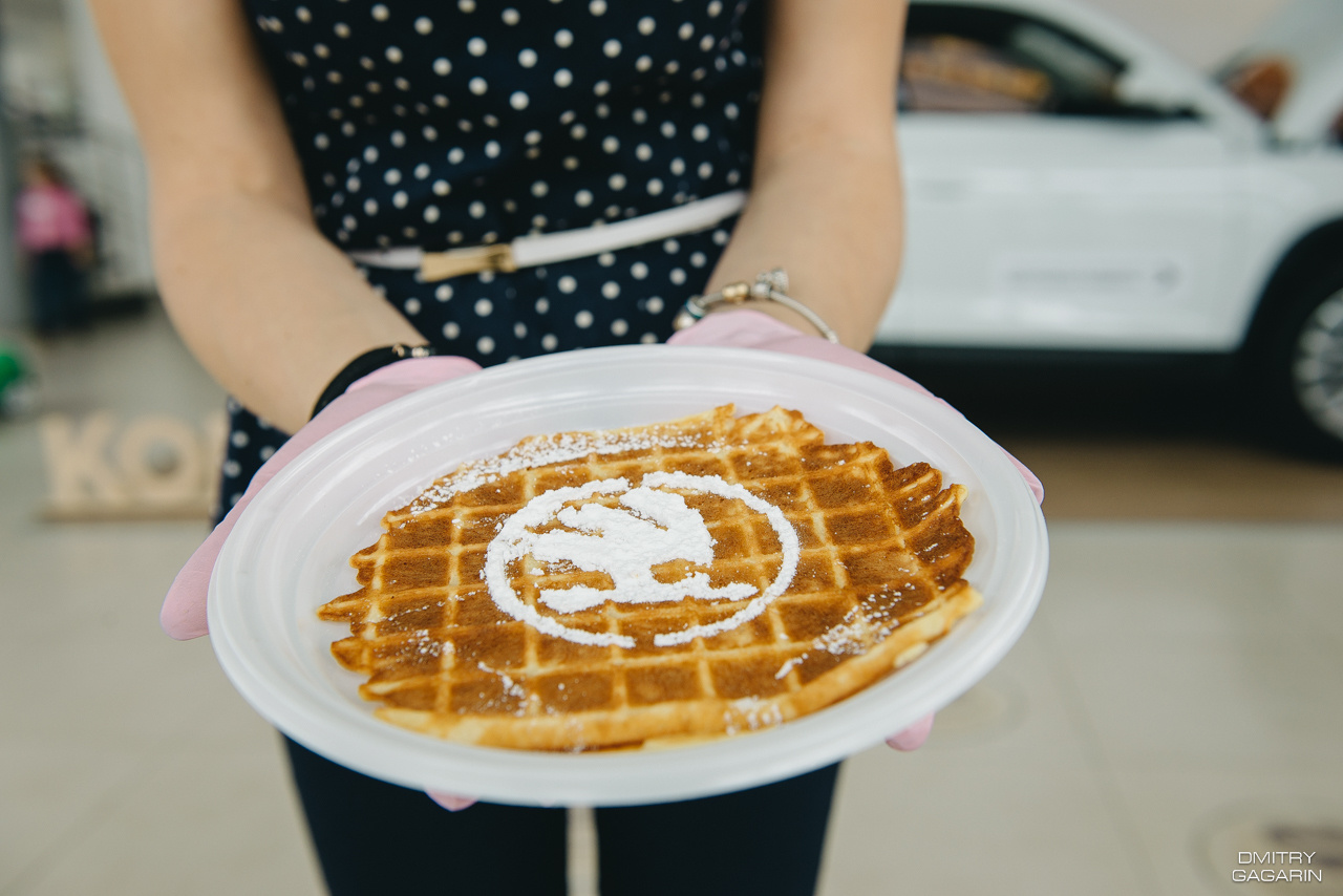 Skoda Смоленск. Свадебный фотограф в Смоленске — Дмитрий Гагарин