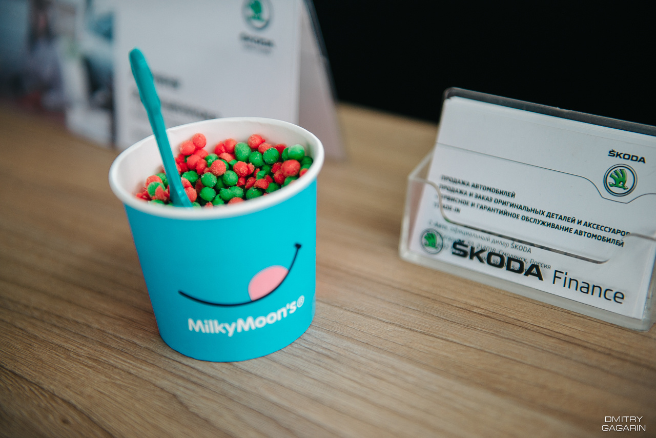 Skoda Смоленск. Свадебный фотограф в Смоленске — Дмитрий Гагарин