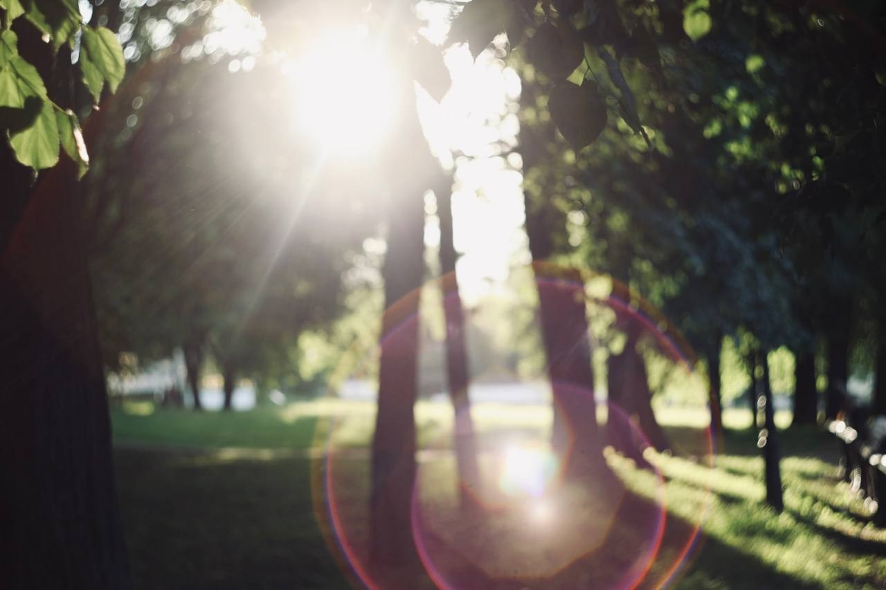 Фото прогулки. Предметный фотограф и фотограф в стиле Lifestyle