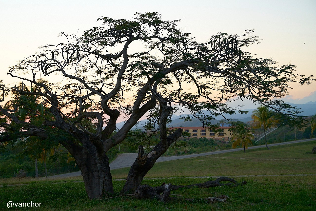 Кубинские зарисовки. Объектив бродяги