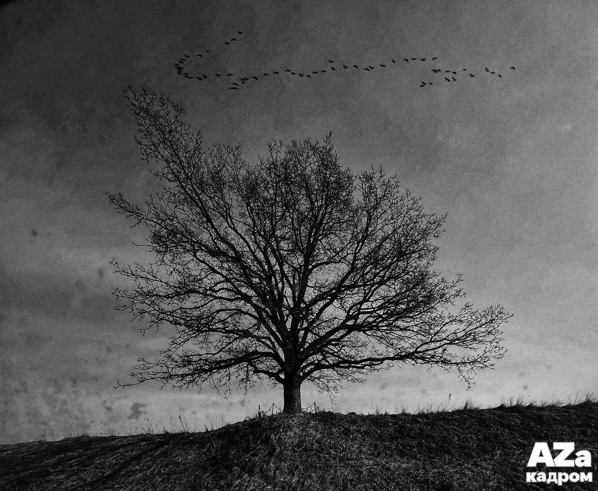 Фотопрогулка для семьи Влада и Юли. Женский семейный фотограф Тула Москва Захарова Анна