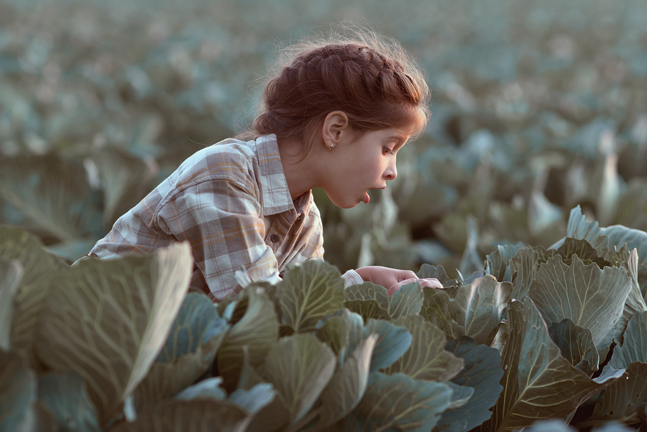 Фотосессия в поле. Семейный и детский фотограф в Санкт-Петербурге Скибо Марина
