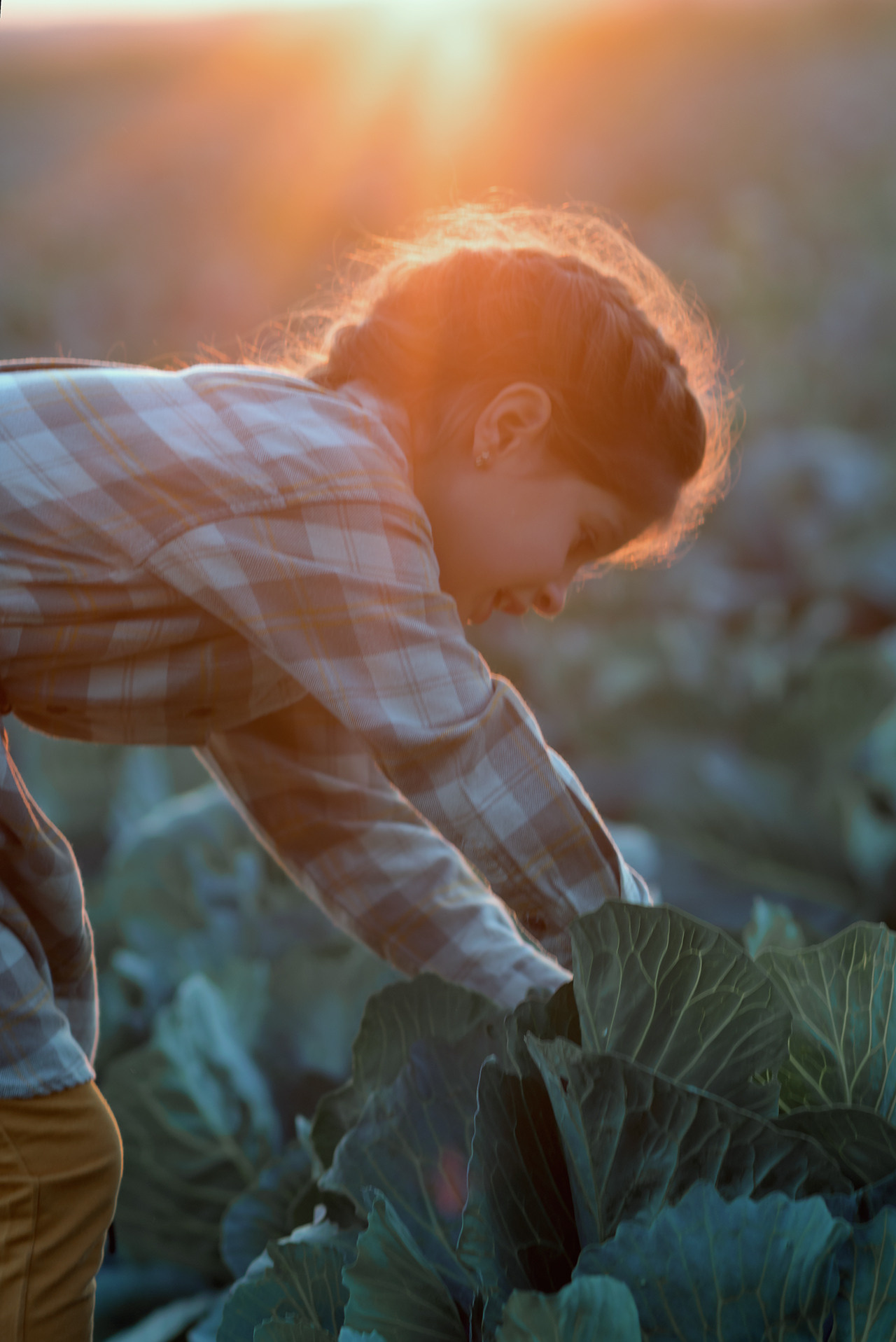Фотосессия в поле. Семейный и детский фотограф в Санкт-Петербурге Скибо Марина